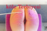 köle terbiyesi