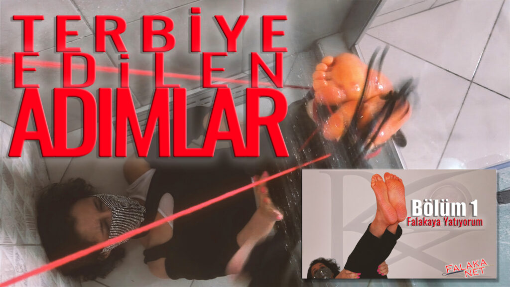 tebriye edilen adımlar - falakaya yatıyorum cover