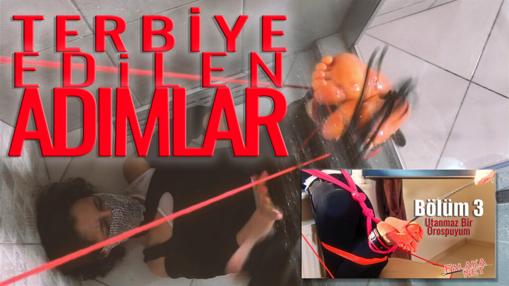 Tebriye Edilen Adımlar 3 - Utanmaz Bir Orospuyum Cover